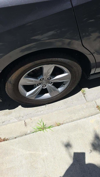 2020 Honda Odyssey EX-L 118.1" WB - miniatura 34