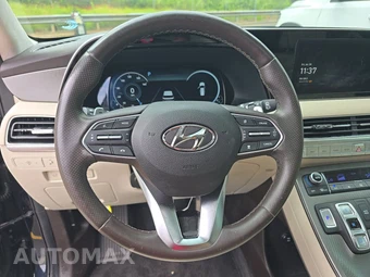 2020 Hyundai Palisade Limited - miniatura 10