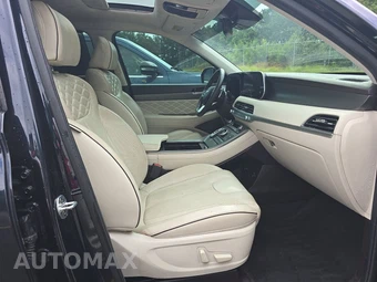 2020 Hyundai Palisade Limited - miniatura 8