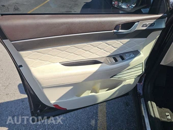 2020 Hyundai Palisade Limited - miniatura 9