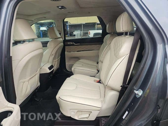 2020 Hyundai Palisade Limited - miniatura 13