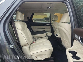 2020 Hyundai Palisade Limited - miniatura 17
