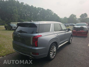 2020 Hyundai Palisade Limited - miniatura 3