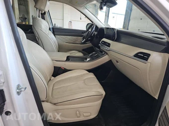 2020 Hyundai Palisade Limited - miniatura 10