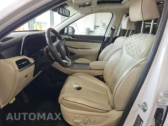 2020 Hyundai Palisade Limited - miniatura 9
