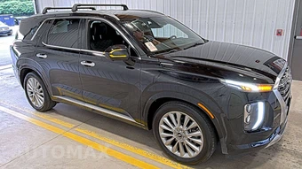 2020 Hyundai Palisade Limited - miniatura 3
