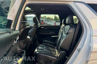 2020 Hyundai Palisade Limited - miniatura 19