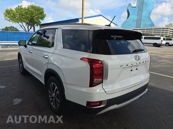 2020 Hyundai Palisade SEL - miniatura 6