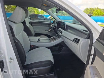 2020 Hyundai Palisade SEL - miniatura 8