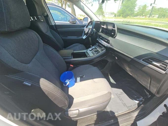 2020 Hyundai Palisade SEL - miniatura 19