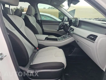 2020 Hyundai Palisade SEL - miniatura 8