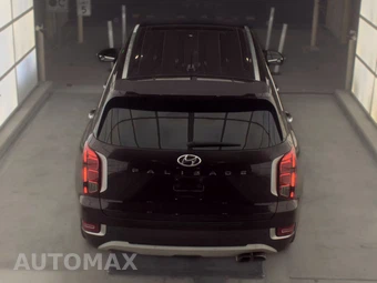2020 Hyundai Palisade SEL - miniatura 5