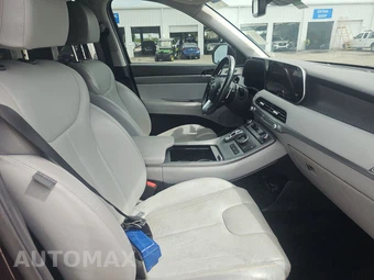 2020 Hyundai Palisade SEL - miniatura 8