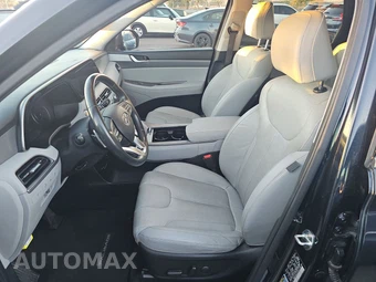 2020 Hyundai Palisade SEL - miniatura 7