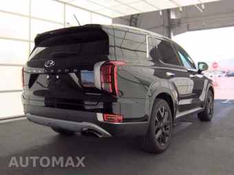 2020 Hyundai Palisade SEL - miniatura 4