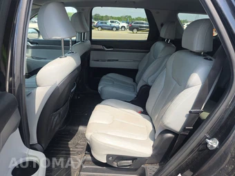 2020 Hyundai Palisade SEL - miniatura 13