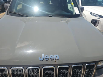 2020 Jeep Renegade Limited - miniatura 15