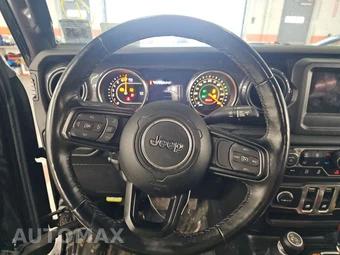 2020 Jeep Wrangler Black and Tan - miniatura 16