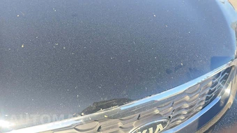 2020 Kia Sorento S V6 - miniatura 35
