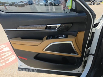 2020 Kia Telluride SX - miniatura 9