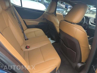 2020 Lexus ES 350 - miniatura 16