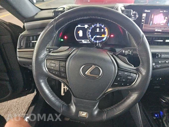 2020 Lexus ES 350 F SPORT - miniatura 10