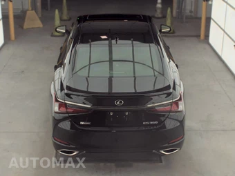 2020 Lexus ES 350 F SPORT - miniatura 5