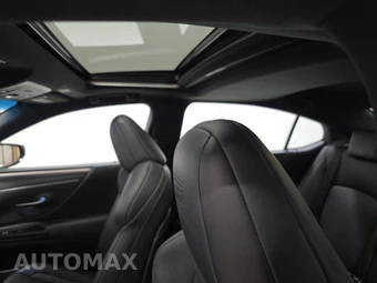 2020 Lexus ES 350 F SPORT - miniatura 17