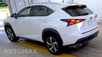 2020 Lexus NX 300 - miniatura 6