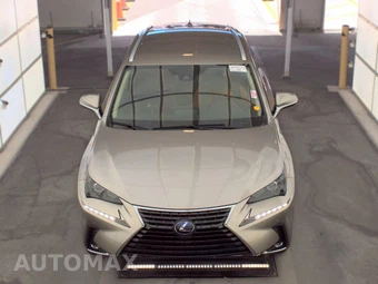 2020 Lexus NX 300h – miniatura 2