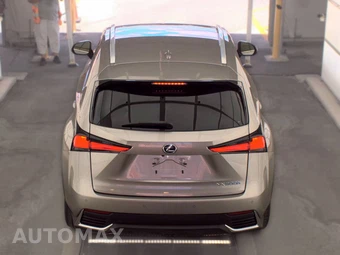 2020 Lexus NX 300h – miniatura 5