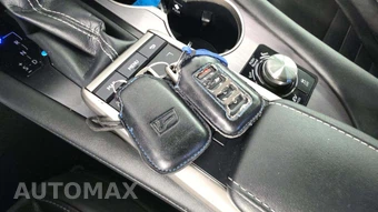 2020 Lexus RX 450h F SPORT - miniatura 20