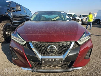 2020 Nissan Maxima SL – miniatura 2