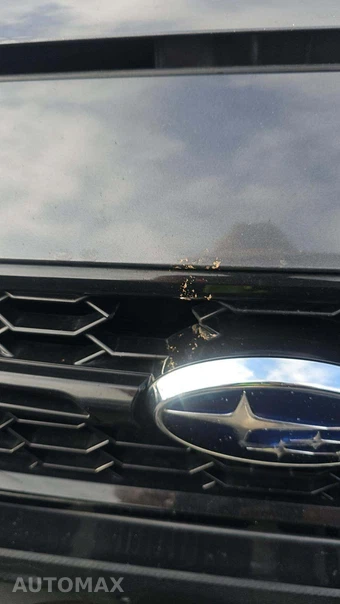 2020 Subaru WRX STi Limited w/Wing Spoiler - miniatura 29