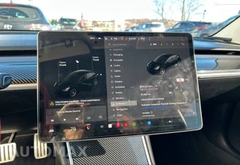 2020 Tesla Model 3 Performance - miniatura 8