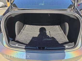 2020 Tesla Model 3 Performance - miniatura 14