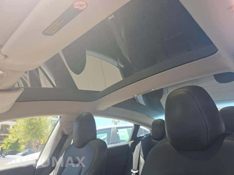 2020 Tesla Model 3 Performance - miniatura 8