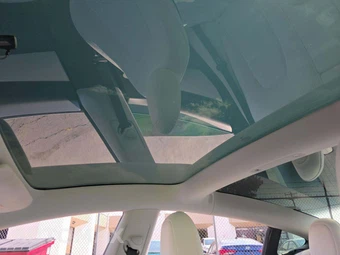 2020 Tesla Model 3 Performance - miniatura 11