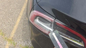 2020 Tesla Model 3 Standard Range Plus - miniatura 24