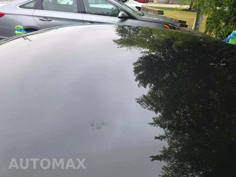 2020 Tesla Model S Long Range Plus - miniatura 10