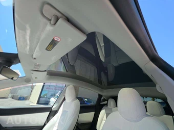 2020 Tesla Model Y Performance - miniatura 8