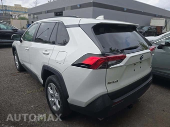 2020 Toyota RAV4 Hybrid LE – miniatura 2