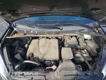 2020 Toyota Sienna L 7-Passenger 119.3" WB - miniatura 16