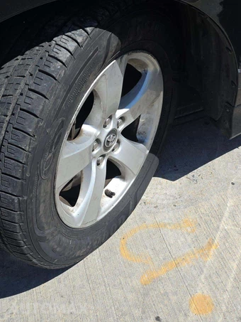 2020 Toyota Sienna L 7-Passenger 119.3" WB - miniatura 24