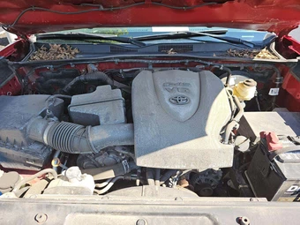 2020 Toyota Tacoma SR Crew Cab Medium Bed - miniatura 23