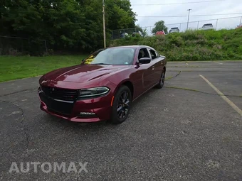 2021 Dodge Charger SXT - car from the USA, Manheim Buy-Now listing at AUTOMAX