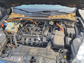 2021 Ford Escape Hybrid Titanium - miniatura 15