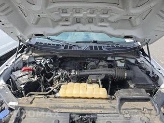 2021 Ford F-150 XL Crew Cab Short Bed - miniatura 15