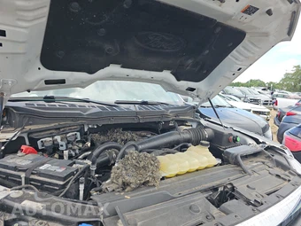 2021 Ford F-150 XLT Crew Cab Medium Bed - miniatura 15