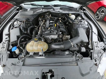 2021 Ford Mustang EcoBoost Premium Convertible - miniatura 15